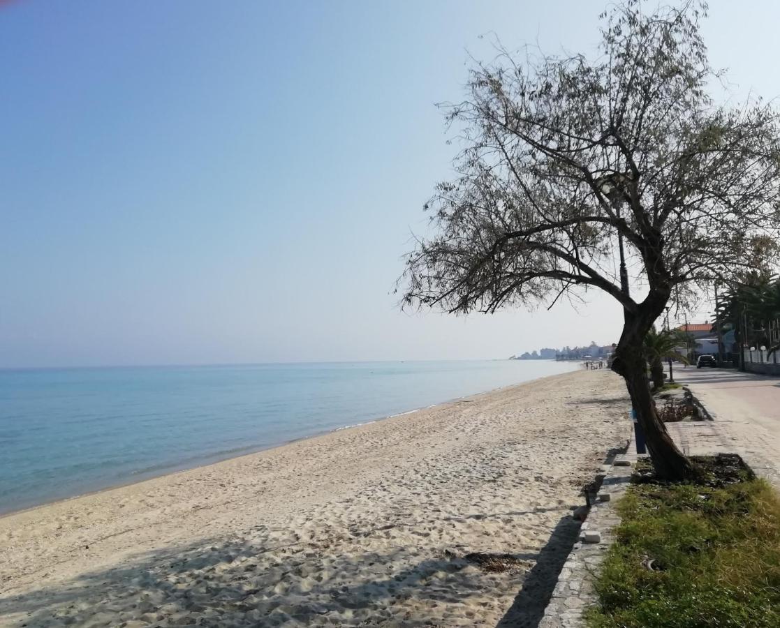 Seaside View Villa Hanioti Ngoại thất bức ảnh